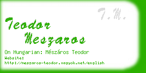 teodor meszaros business card